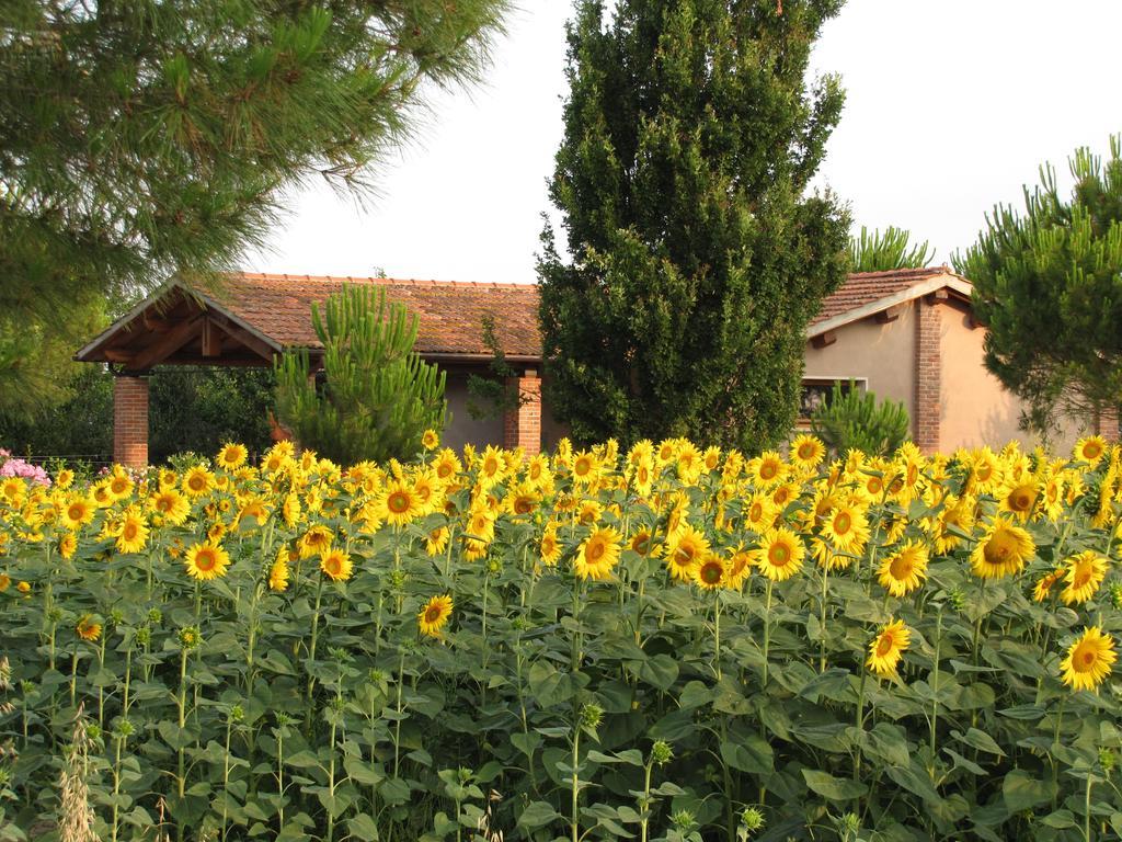 Agriturismo Salcino Villa Grosseto Kültér fotó