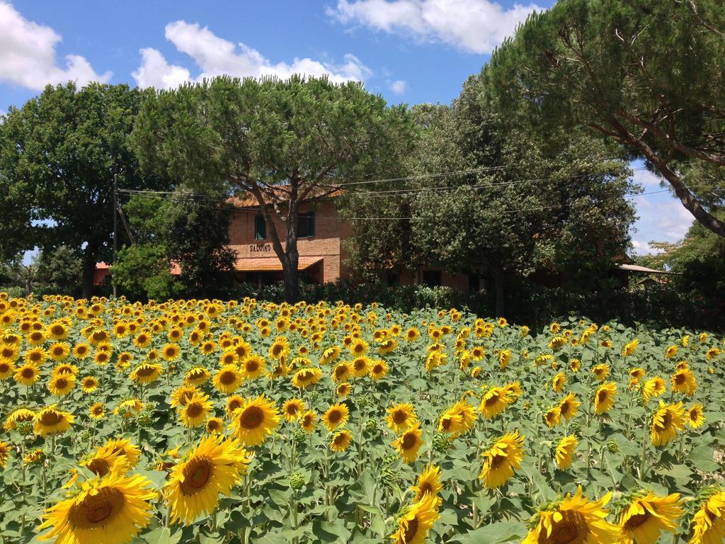 Agriturismo Salcino Villa Grosseto Kültér fotó